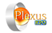 Trinetix Solutions's Competitor - Plexus Kpo logo
