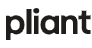 Pliant's company profile
