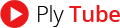 Plytube's logo Plytube's Company logo