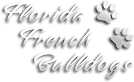 Floridafrenchbulldogs