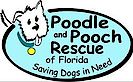 Poodle and Pooch Rescue of Florida's logo Poodle and Pooch Rescue of Florida's Company logo