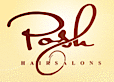 Poshhairsalons
