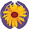 Positive Touch Medicine's logo Positive Touch Medicine's Company logo