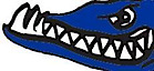 Potomac Crossing Barracudas Swim Team