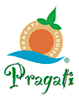 Pragatiresorts