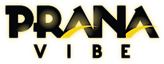 Prana Vibe's logo Prana Vibe's Company logo