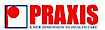 AIG Business Solution's Competitor - Praxis logo