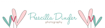 Prescilla Dingler Photography's logo Prescilla Dingler Photography's Company logo