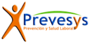 Prevesys De Venezuela