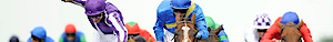 Pro Circle's logo Pro Circle's Company logo