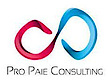Pro Paie Consulting
