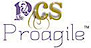 Ekraft's Competitor - Proagile Corporate Services logo