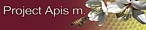 Project Apis M