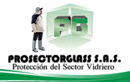 Prosectorglass Sas