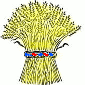 Psapho's logo Psapho's Company logo