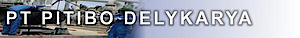 Pt Pitibo Delykarya's logo Pt Pitibo Delykarya's Company logo