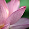 Purity Spa