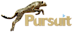 Pursuit Software Ltd.