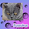 Pussukus Cattery