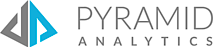Pyramid Analytics's logo Pyramid Analytics's Company logo