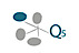 Q5 Division LLC's company profile