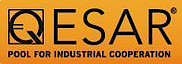Qesar's logo Qesar's Company logo