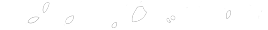 Daytrotter's logo Daytrotter's Company logo