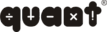 quant.in