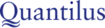 Whiteboard Federal's Competitor - Quantilus Inc logo