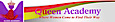 Publicimpact's Competitor - Queen Academy logo