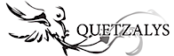 Quetzalys Sas's logo Quetzalys Sas's Company logo
