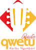 Qwetu Media Services Ltd.'s logo Qwetu Media Services Ltd.'s Company logo
