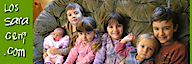 Rafael Saraceni's logo Rafael Saraceni's Company logo