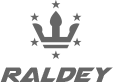 Raldey Electric Skateboard's logo Raldey Electric Skateboard's Company logo