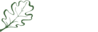 Raleigh Web Partners