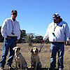 Ramblin Maxx Retrievers   "rmr"