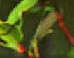 Ramsa's logo Ramsa's Company logo