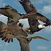 Raptorresource's logo Raptorresource's Company logo