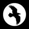 Raven Designs's logo Raven Designs's Company logo