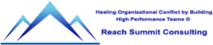 Reach Summit Consulting's logo Reach Summit Consulting's Company logo