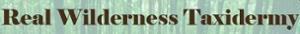 Real Wilderness Taxidermy