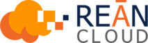REAN Cloud's logo REAN Cloud's Company logo