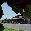 Red Barn Winery Vineyards's logo Red Barn Winery Vineyards's Company logo