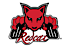Redcat Racing
