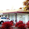 Redwood City Chiropractic's logo Redwood City Chiropractic's Company logo