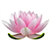Reiki By Isabella