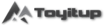 Rental Toys