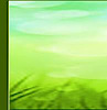 Revolutions Naturopathic