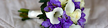 Robyns Weddings's logo Robyns Weddings's Company logo