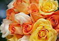 Roseville Acupuncture And Massage